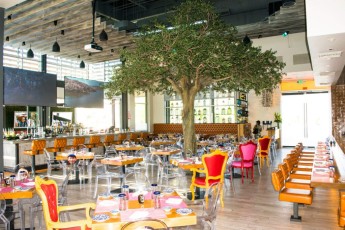 SumoMaya in Scottsdale