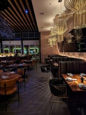 SumoMaya in Scottsdale