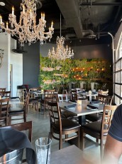 Society by Evo in Tempe