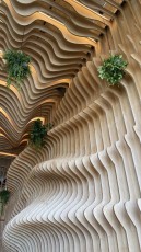 clever-ramen-scottsdale-5