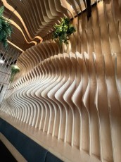 clever-ramen-scottsdale-6