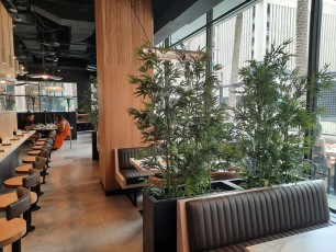 harumi-sushi-phoenix 4