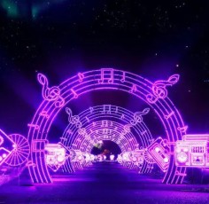 illumination-symphony-of-light-phoenix