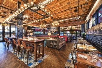 mora-italian-phoenix 5