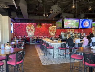 salt-tacos-y-tequila-gilbert 2