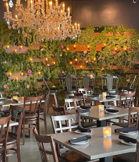 society-by-evo-tempe 2