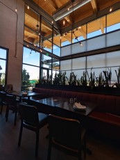 spinatos-pizzeria-and-family-kitchen-tempe 18