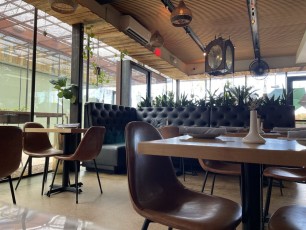 the-clever-koi-phoenix 1