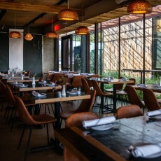 the-clever-koi-phoenix