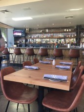 the-clever-koi-phoenix 2