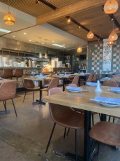 the-clever-koi-phoenix 3