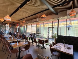 the-clever-koi-phoenix 6