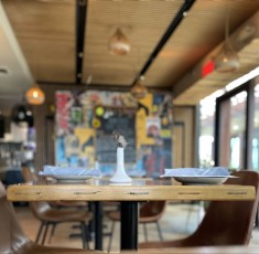 the-clever-koi-phoenix 7