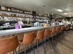 the-clever-koi-phoenix 8