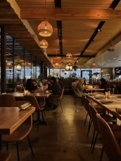 the-clever-koi-phoenix 9