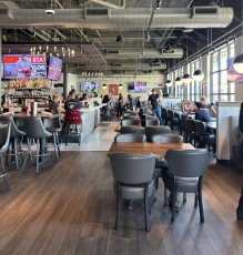 thirsty-lion-glendale