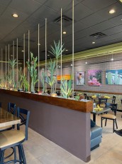 twist-bistro-and-gallery-scottsdale 3